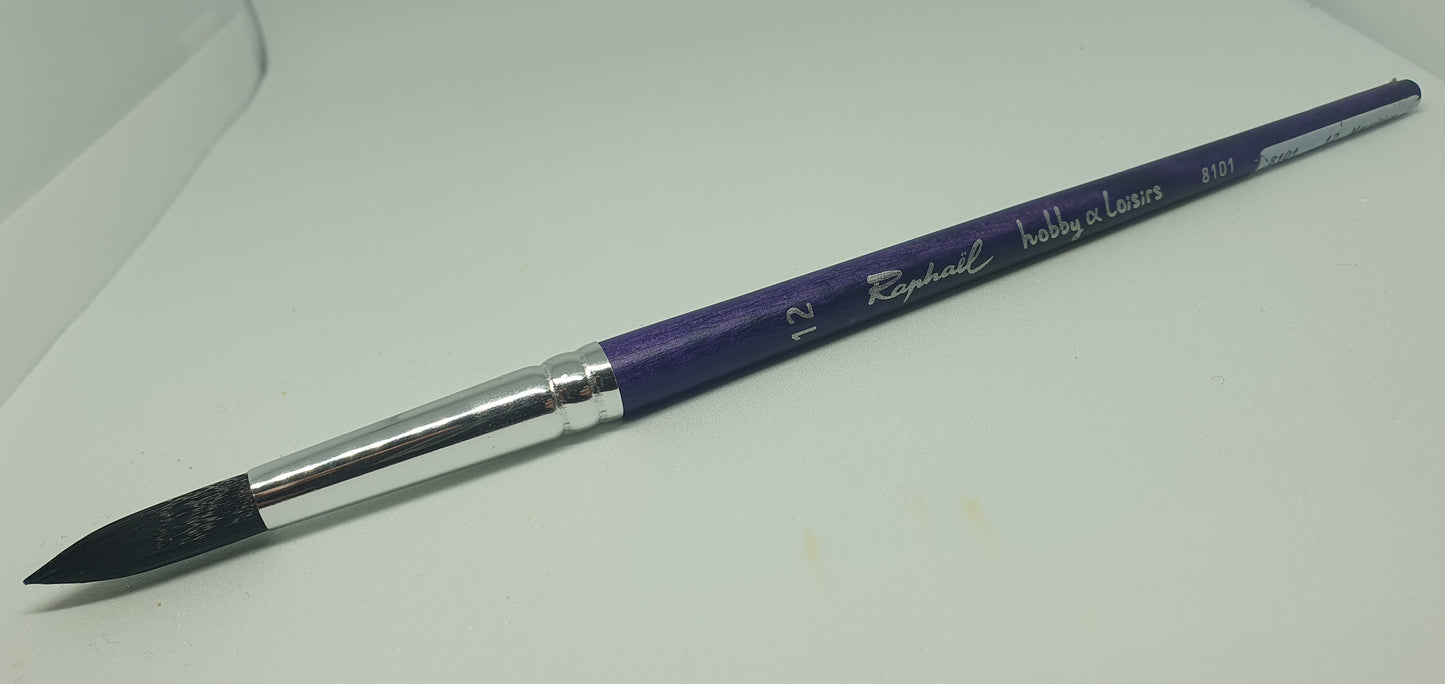 12 Hobby & loisirs 8101