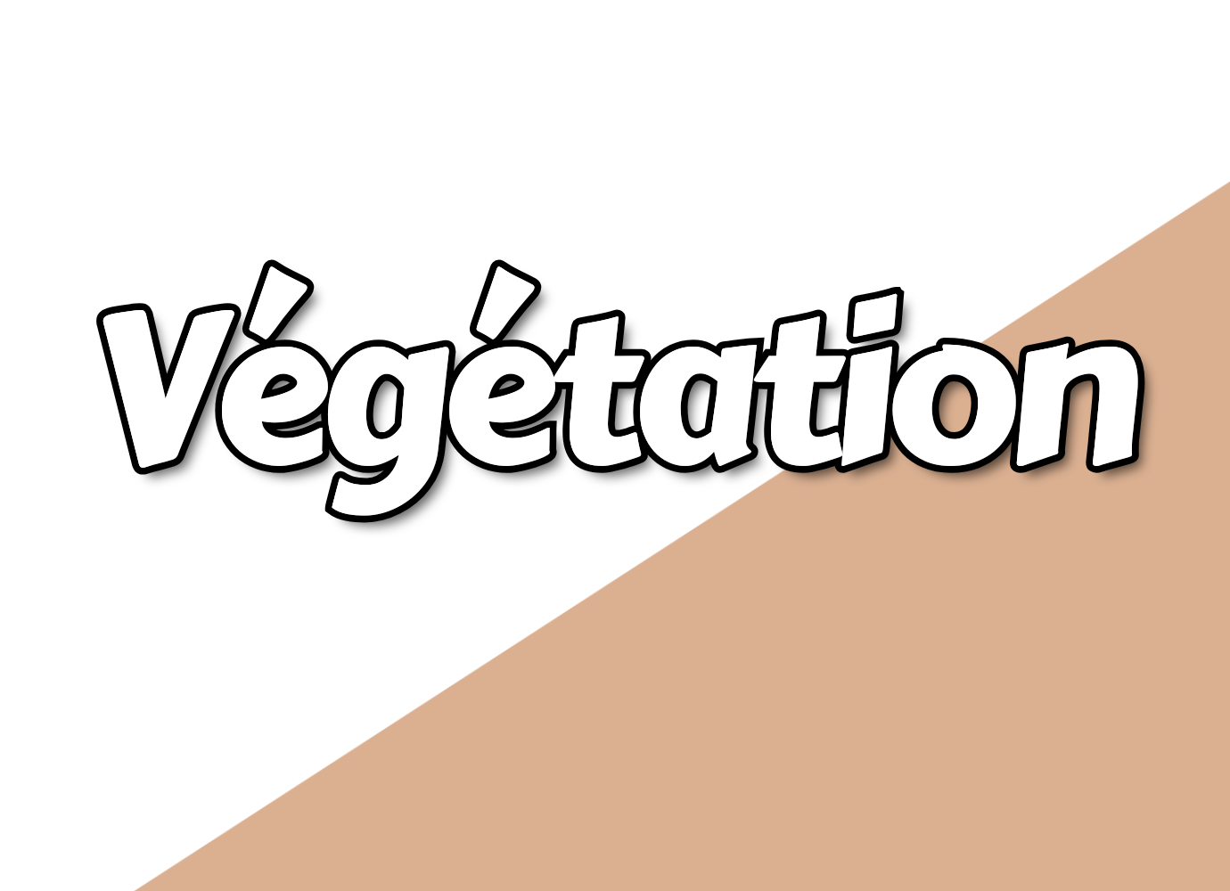 Végétation