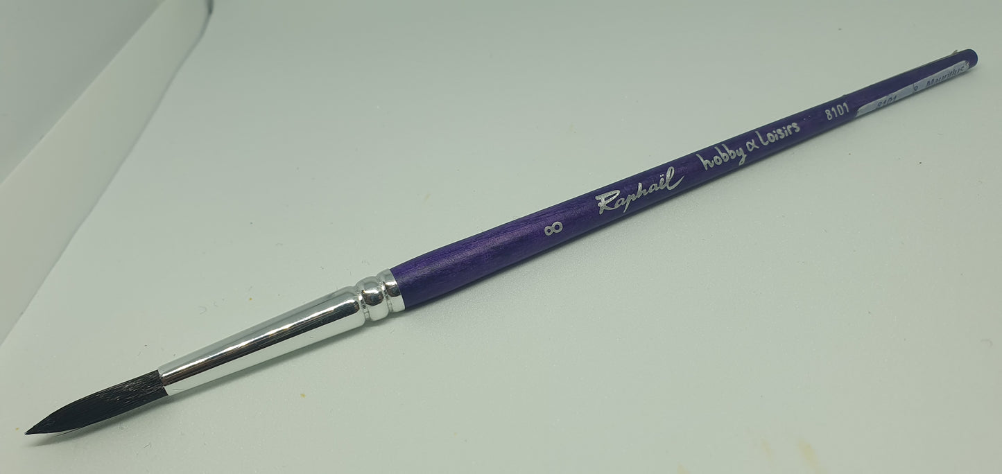 8 Hobby & Loisirs 8101
