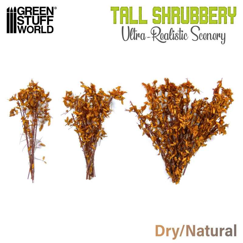 Tall Shrubbery Dry Natural